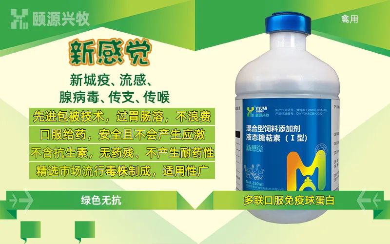 养鹅赚钱么_什么鹅好养又赚钱_养殖鹅赚钱吗