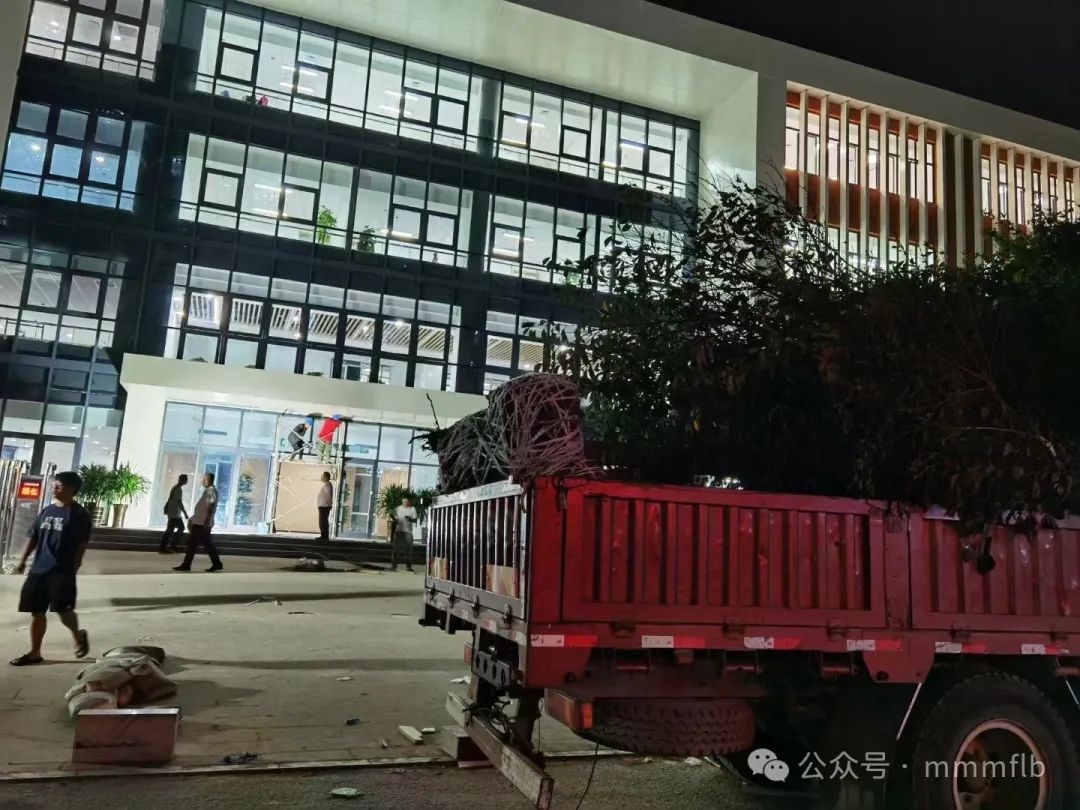 农村种地赚钱吗_赚钱农村种里地怎么形容_农村地里种什么最赚钱