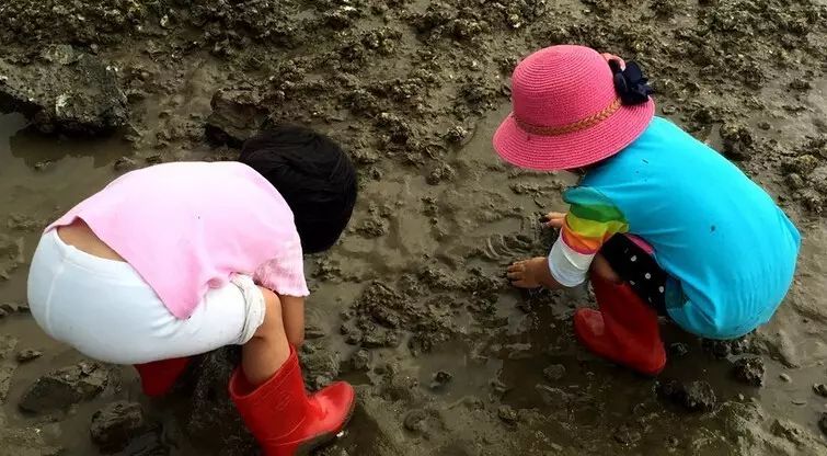 海边夏天赚钱卖什么好_夏天海边卖什么挣钱_夏天在海边卖什么赚钱