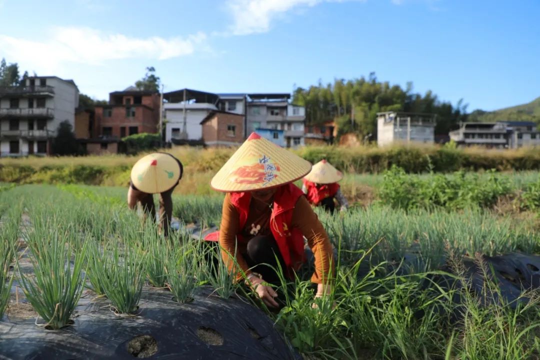 赚钱的打工人_工人吃什么挣钱_吃工人工资应受到什么法律