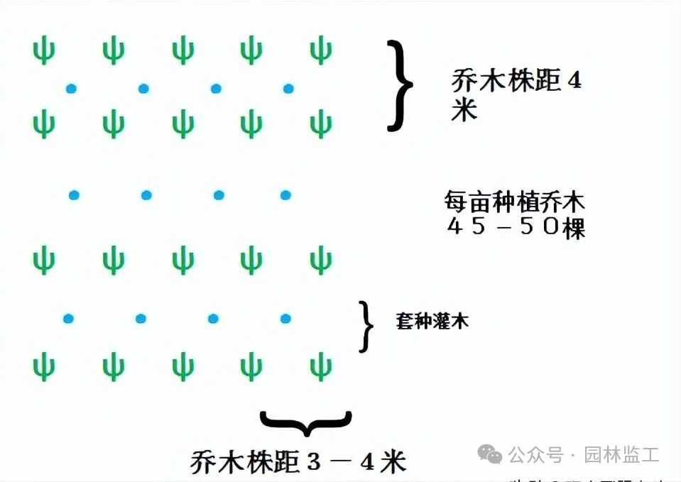 想种树赚钱_现在农村种什么树赚钱_可以赚钱种树的游戏叫什么