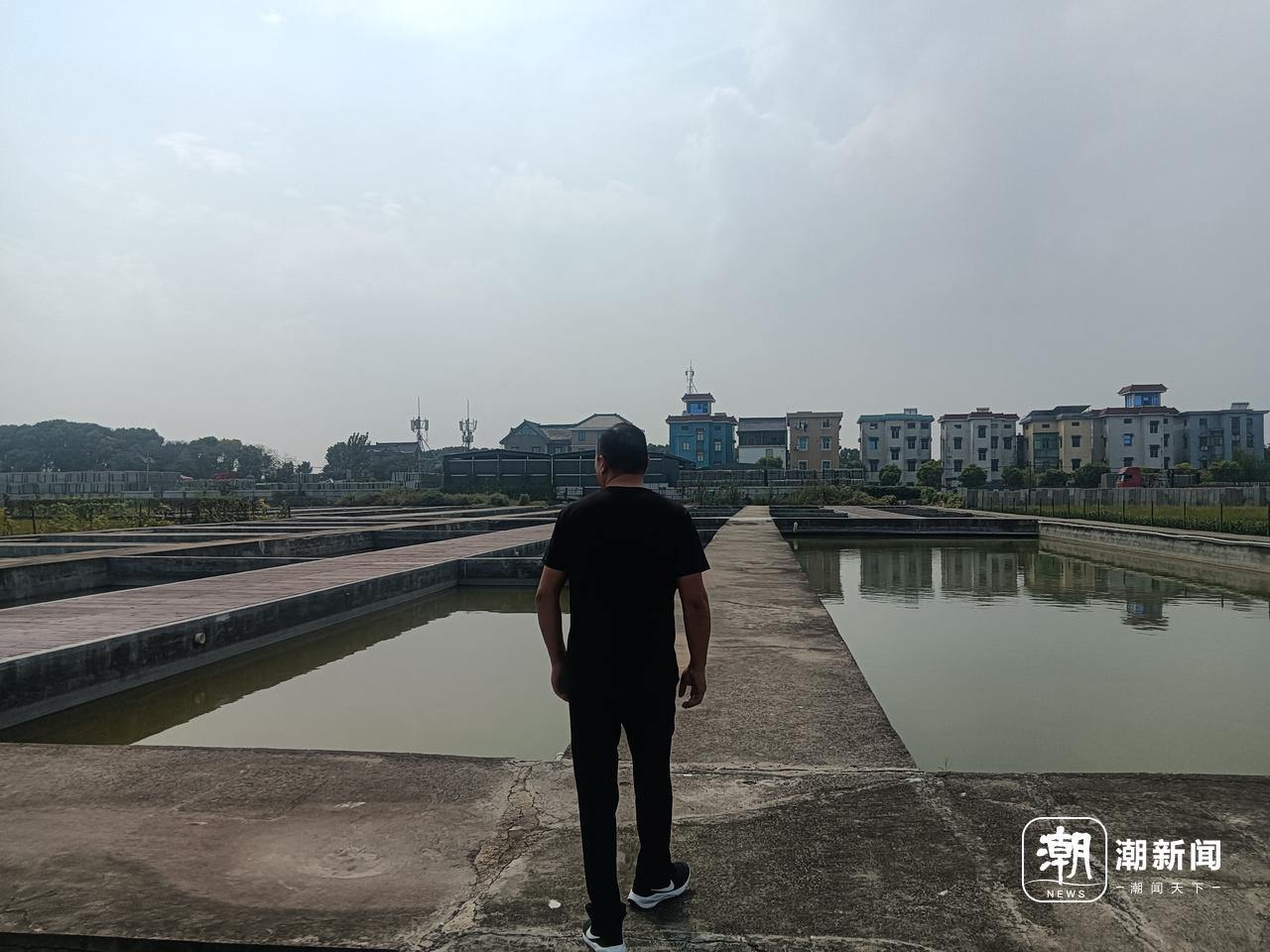 网上倒卖赚钱_网上卖惨赚钱_在网上卖什么最赚钱