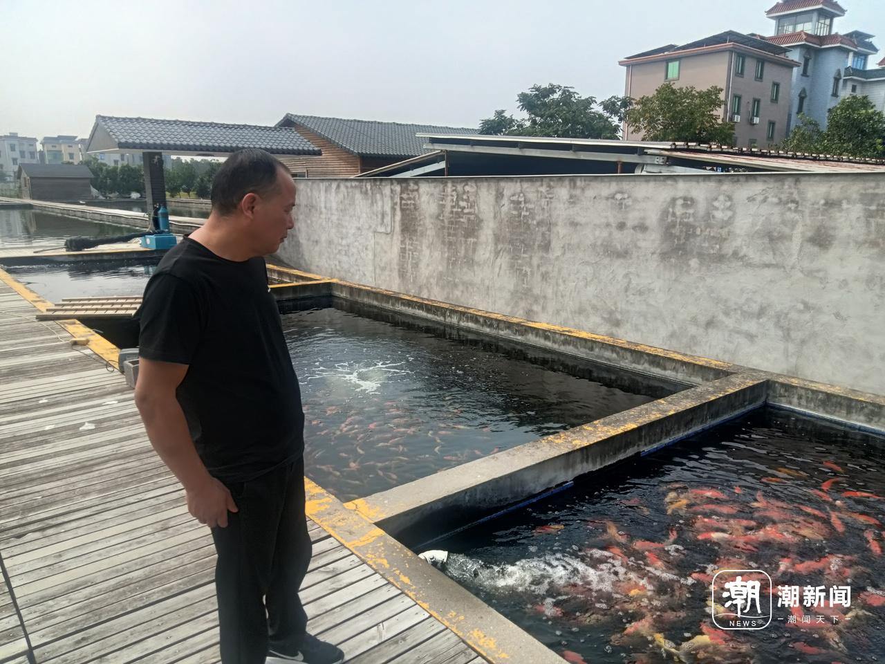 网上倒卖赚钱_网上卖惨赚钱_在网上卖什么最赚钱