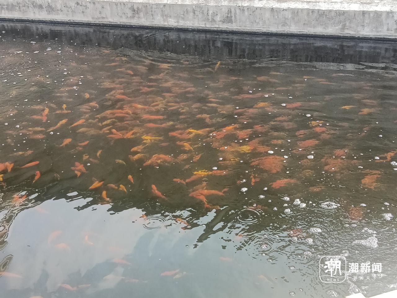网上倒卖赚钱_网上卖惨赚钱_在网上卖什么最赚钱