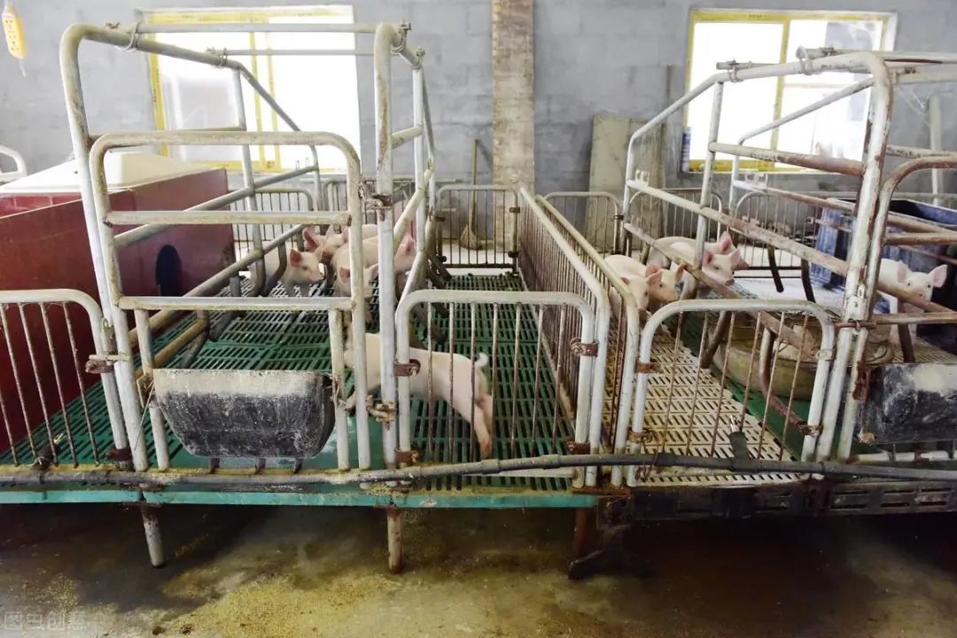 赚不了学历赚经历_学历赚钱没比较做什么生意_没学历做什么比较赚钱