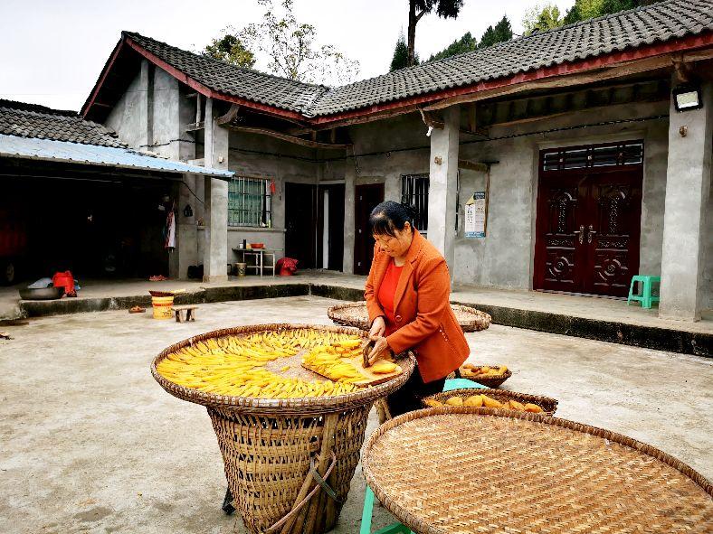 赚钱卖农村现在能赚钱吗_农村现在卖什么最赚钱_农村赚钱买卖