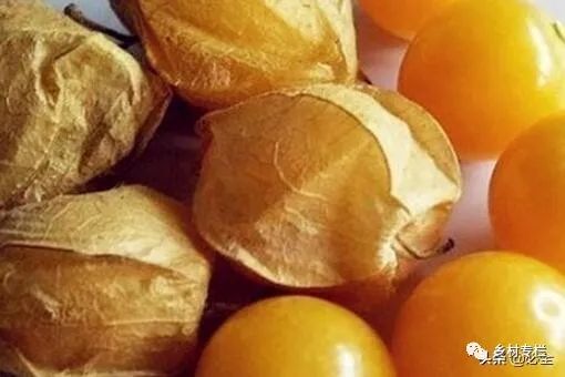 种果树赚钱app下载_种果树赚钱金_目前种什么果树最赚钱