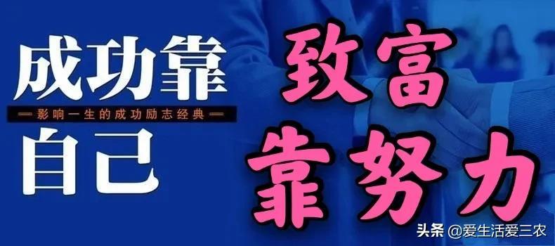 2020农村养殖赚钱项目_农村养殖什么最赚钱_农村养殖本钱小有赚钱