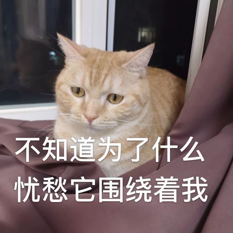 赚钱小罗靠潮人吗_潮人小罗靠什么赚钱_潮人小罗被捅是真的吗