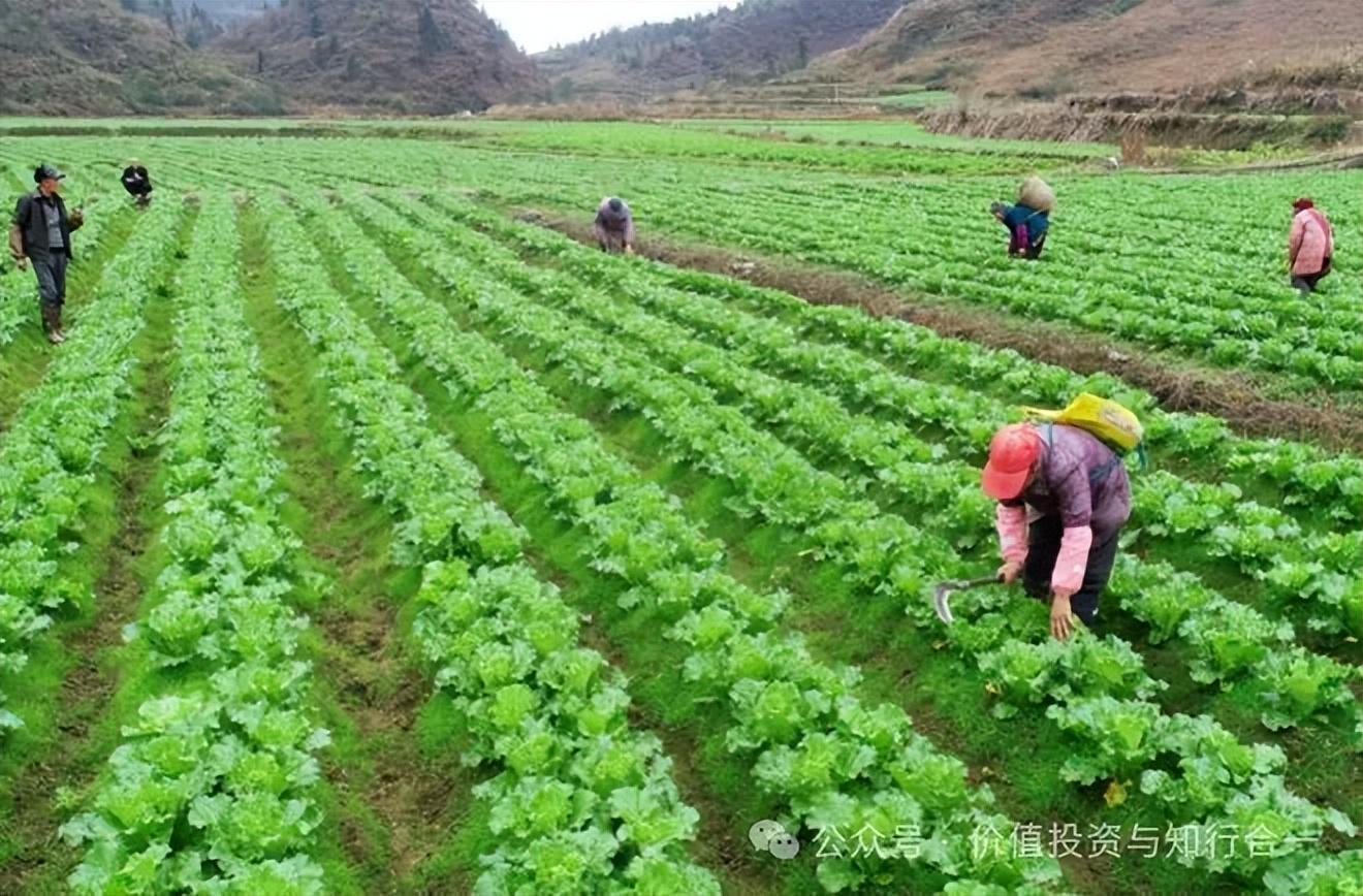 赚钱投资做小生意好吗_做什么投资小又赚钱_做小投资那些赚钱