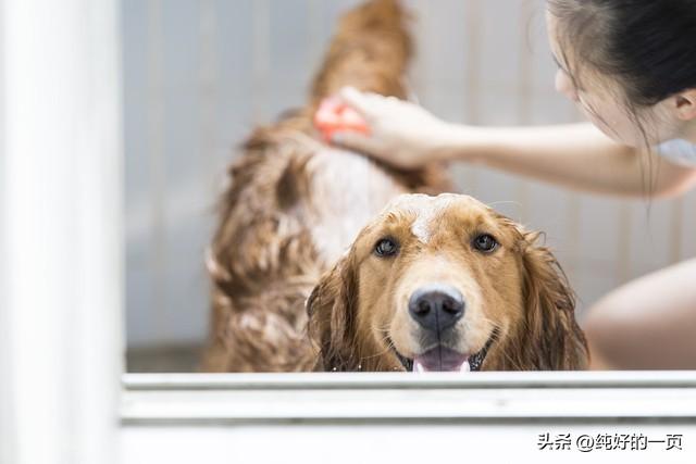 做生意赚的钱_生意赚钱如今现做怎么样_现如今做什么生意赚钱