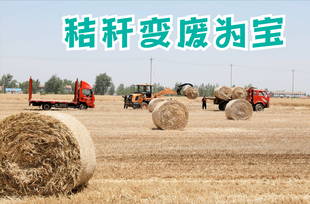 玉米秸秆能做什么赚钱-小麦秸秆如何“变废为宝”？回收一亩地秸秆100元，利润有多少？-优创圈