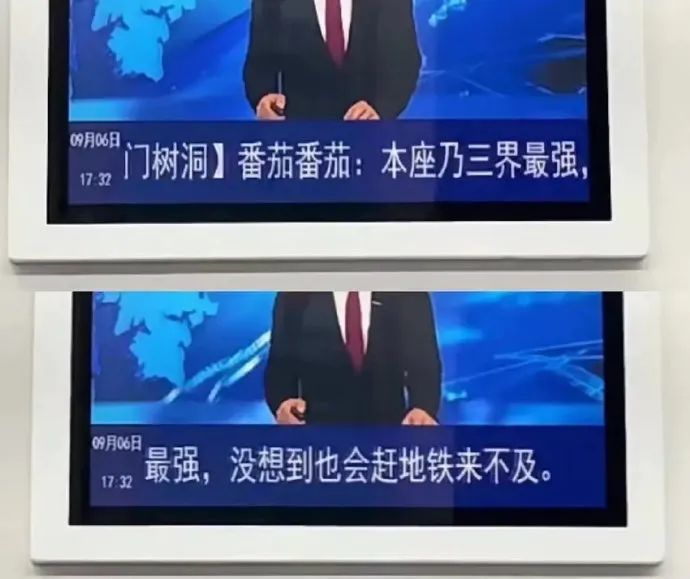 作业代抄-厦门“树洞”的作业，好看不好抄