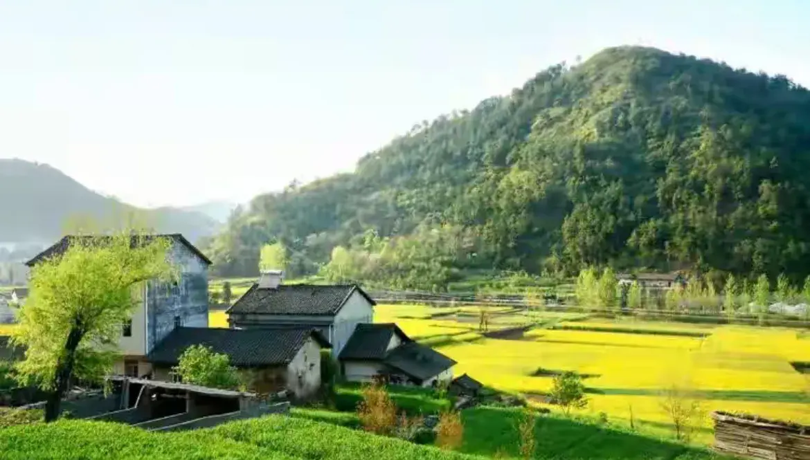 农村喂什么能赚钱吗_赚钱农村饲养_赚钱农村游戏