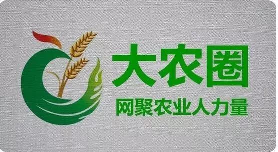 现在搞什么养殖最赚钱-在农村搞养殖，牛、羊、猪哪个更赚钱？-优创圈