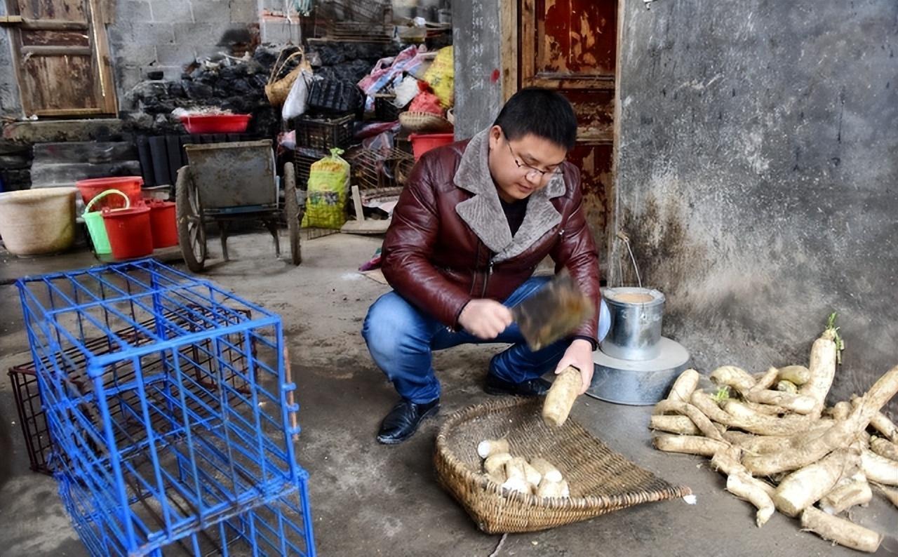 赚钱农村动物语_赚钱农村游戏_农村喂什么能赚钱吗