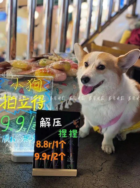 晚上卖点什么东西赚钱-有人一天收入1000元！玉城这些小摊又潮又有料-优创圈