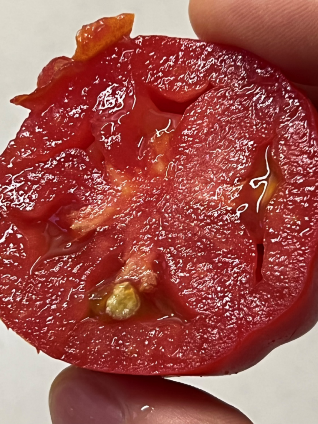 大棚种菜利润_大棚种蔬菜怎么盈利_大棚种什么菜最赚钱