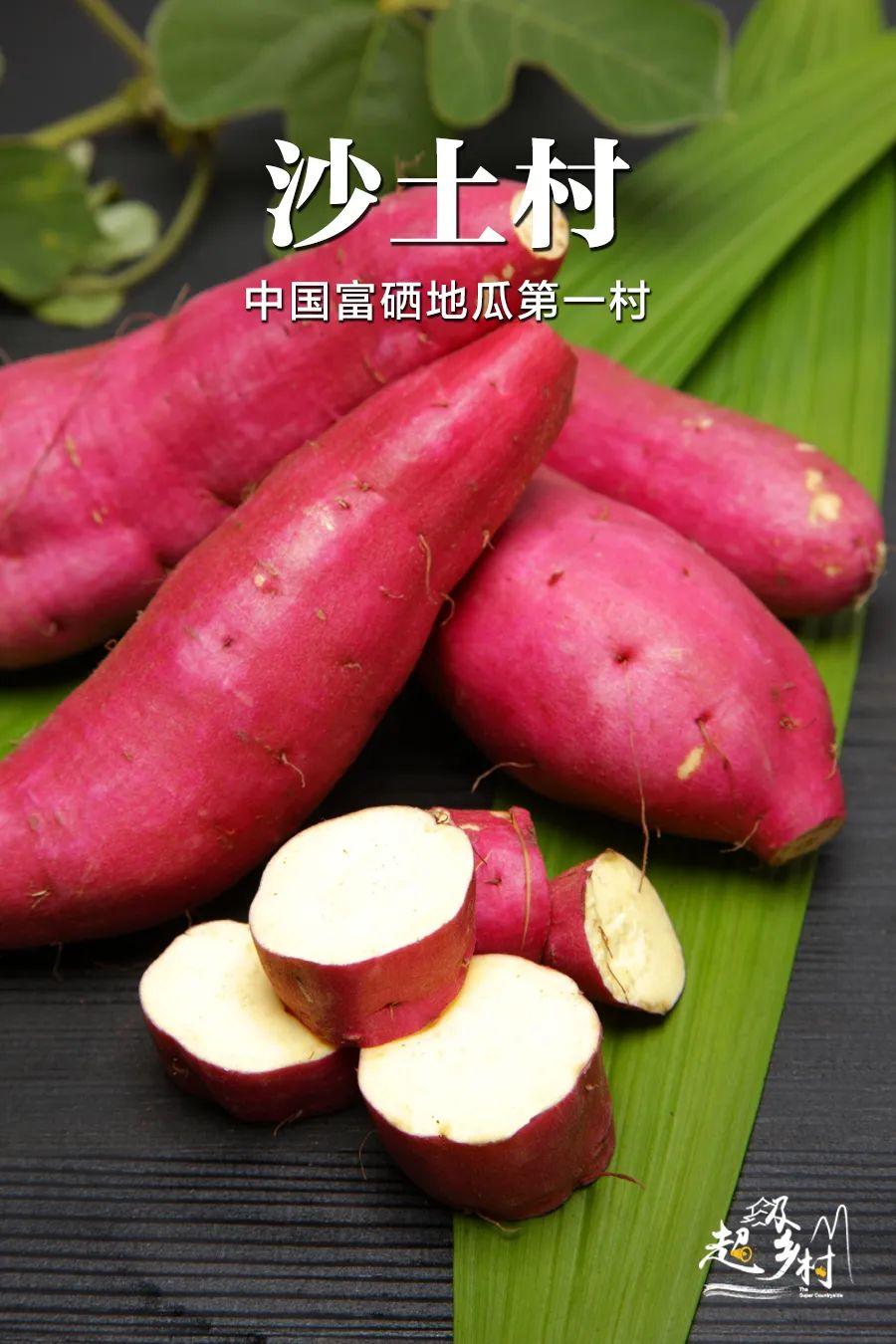 在海南种植什么最赚钱_海南种植什么赚钱_海南种植赚钱不
