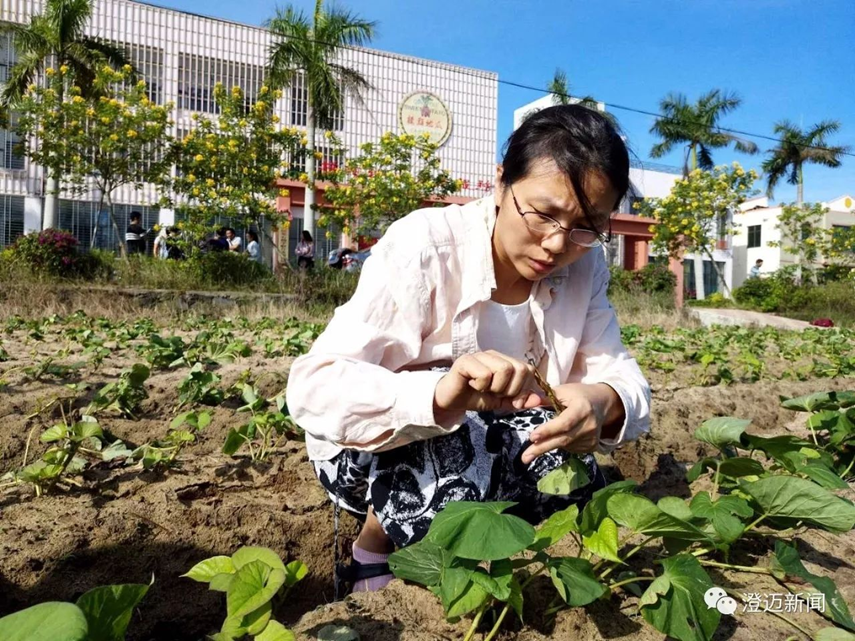 海南种植什么赚钱_海南种植赚钱不_在海南种植什么最赚钱
