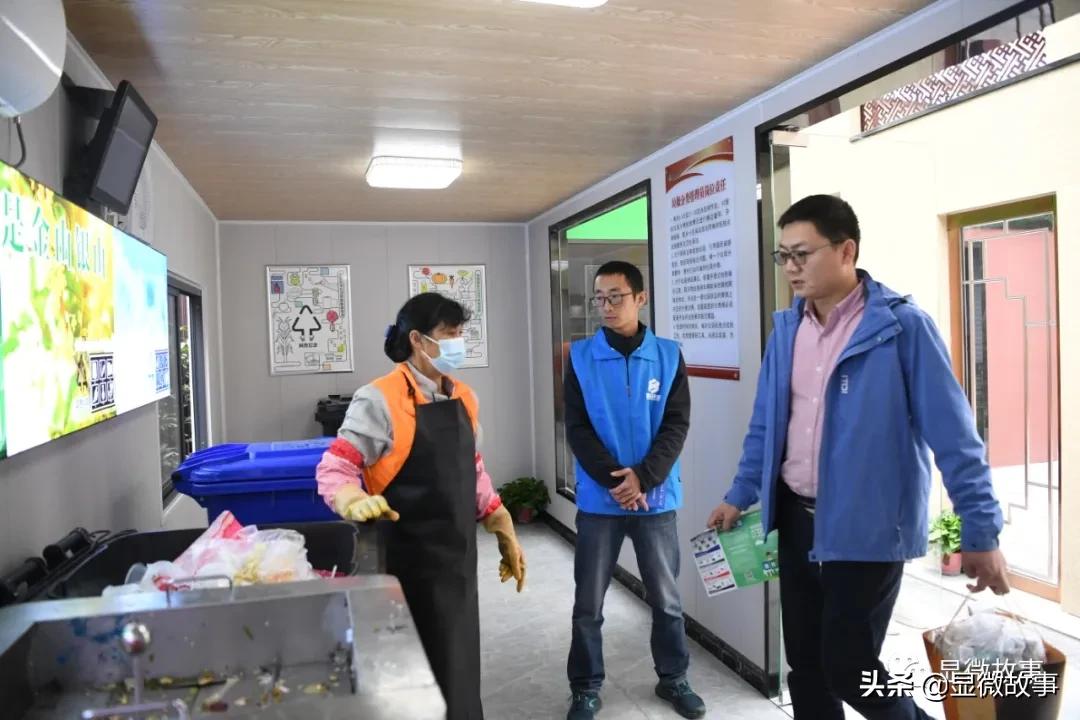 蚂蚁赚钱平台_蚂蚁赚钱团队做什么_蚂蚁团队做什么赚钱的