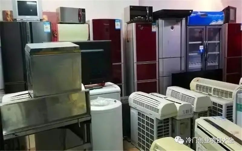 种树挣钱_农村种树苗赚钱吗_农村种什么树苗最赚钱
