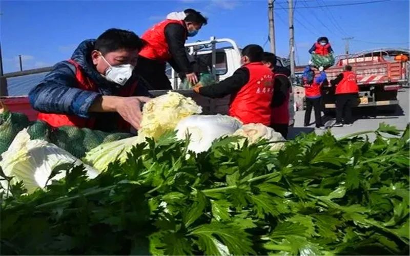 种树挣钱_农村种什么树苗最赚钱_种树苗卖树赚钱吗