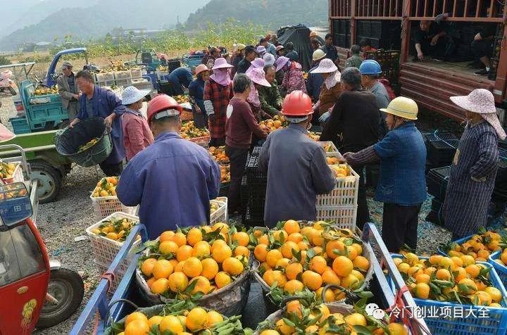 厂赚钱农村开什么店_农村开什么厂最赚钱_厂赚钱农村开店可以吗