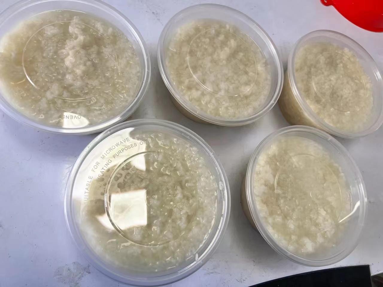 深圳做什么小生意赚钱_深圳做小生意挣钱吗_生意赚钱深圳做小生意好吗