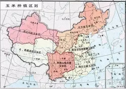 东北种植业什么最赚钱_东北种植业赚钱吗_东北种植业赚钱吗现在