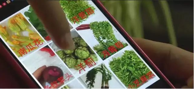 菜市场卖什么好赚钱_卖菜好卖吗_现在卖菜生意怎么样
