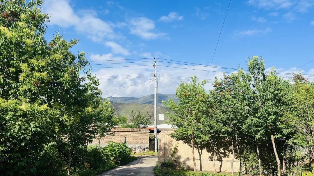 现在农村做什么赚钱快_赚钱农村做现在生意好吗_现在农村干啥赚钱