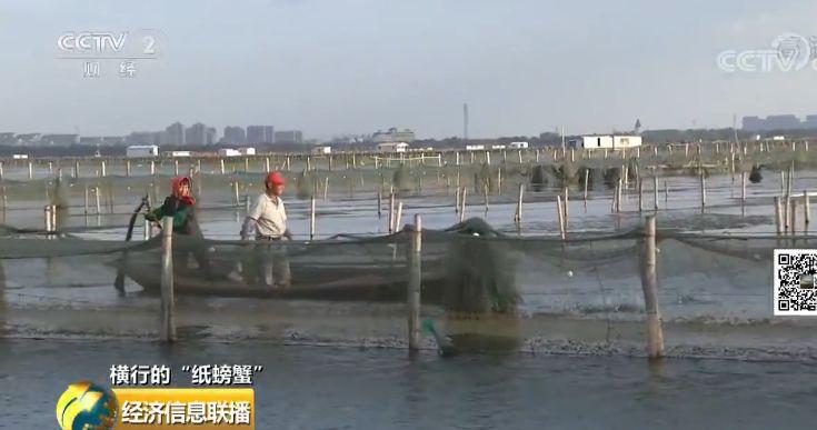 卖螃蟹的利润空间有多大_卖螃蟹能赚多少钱_为什么我卖螃蟹不赚钱