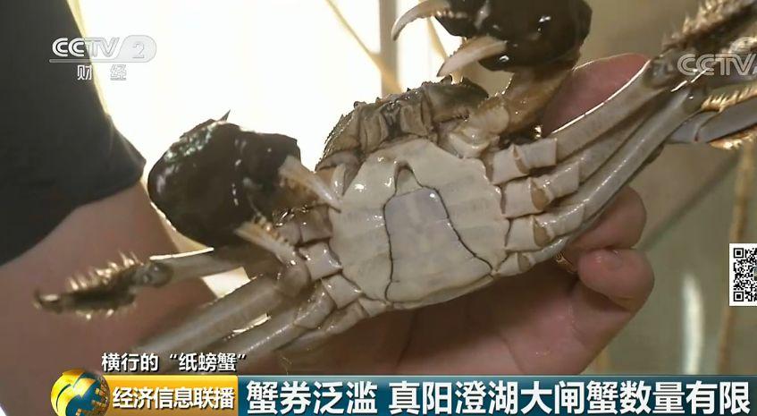 卖螃蟹能赚多少钱_为什么我卖螃蟹不赚钱_卖螃蟹的利润空间有多大