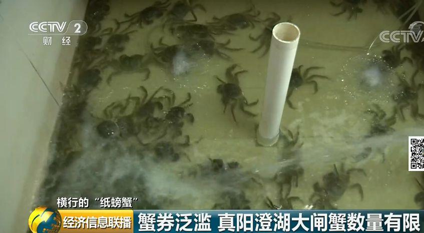 为什么我卖螃蟹不赚钱_卖螃蟹的利润空间有多大_卖螃蟹能赚多少钱