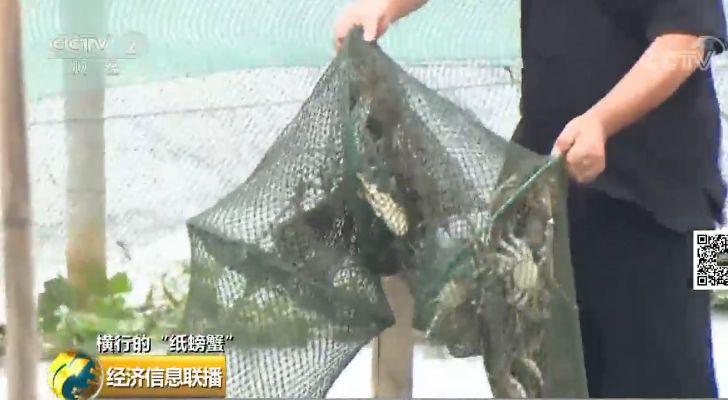 卖螃蟹的利润空间有多大_卖螃蟹能赚多少钱_为什么我卖螃蟹不赚钱