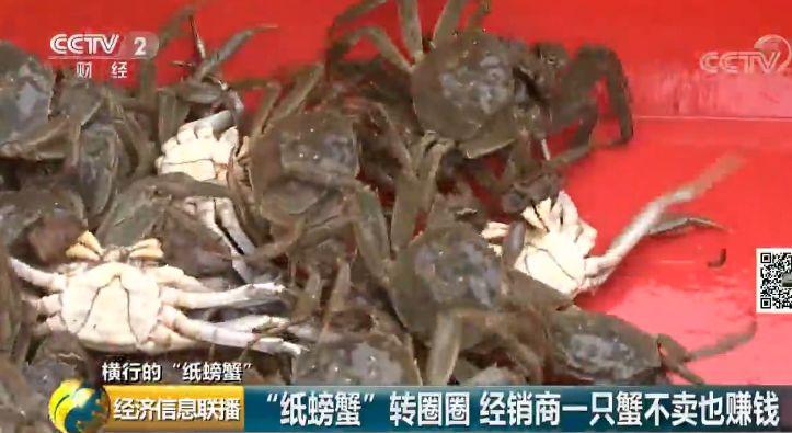 卖螃蟹能赚多少钱_卖螃蟹的利润空间有多大_为什么我卖螃蟹不赚钱