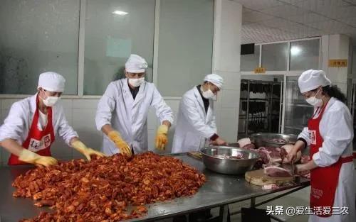在农村加工什么厂赚钱_农村做什么加工厂赚钱_厂赚钱加工农村做什么生意