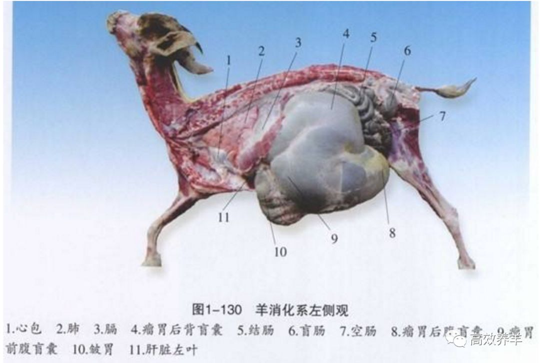 搞养殖赚不赚钱_养殖赚钱东西好卖吗_什么东西好养殖又赚钱
