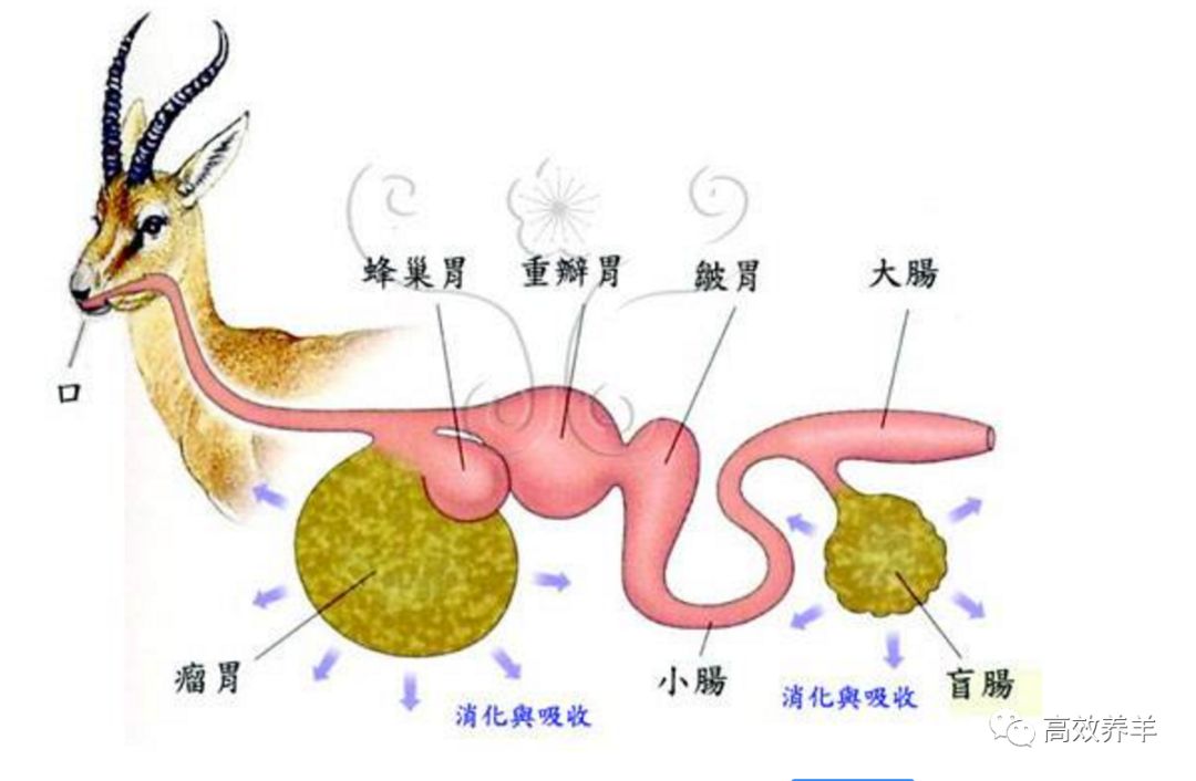 搞养殖赚不赚钱_养殖赚钱东西好卖吗_什么东西好养殖又赚钱