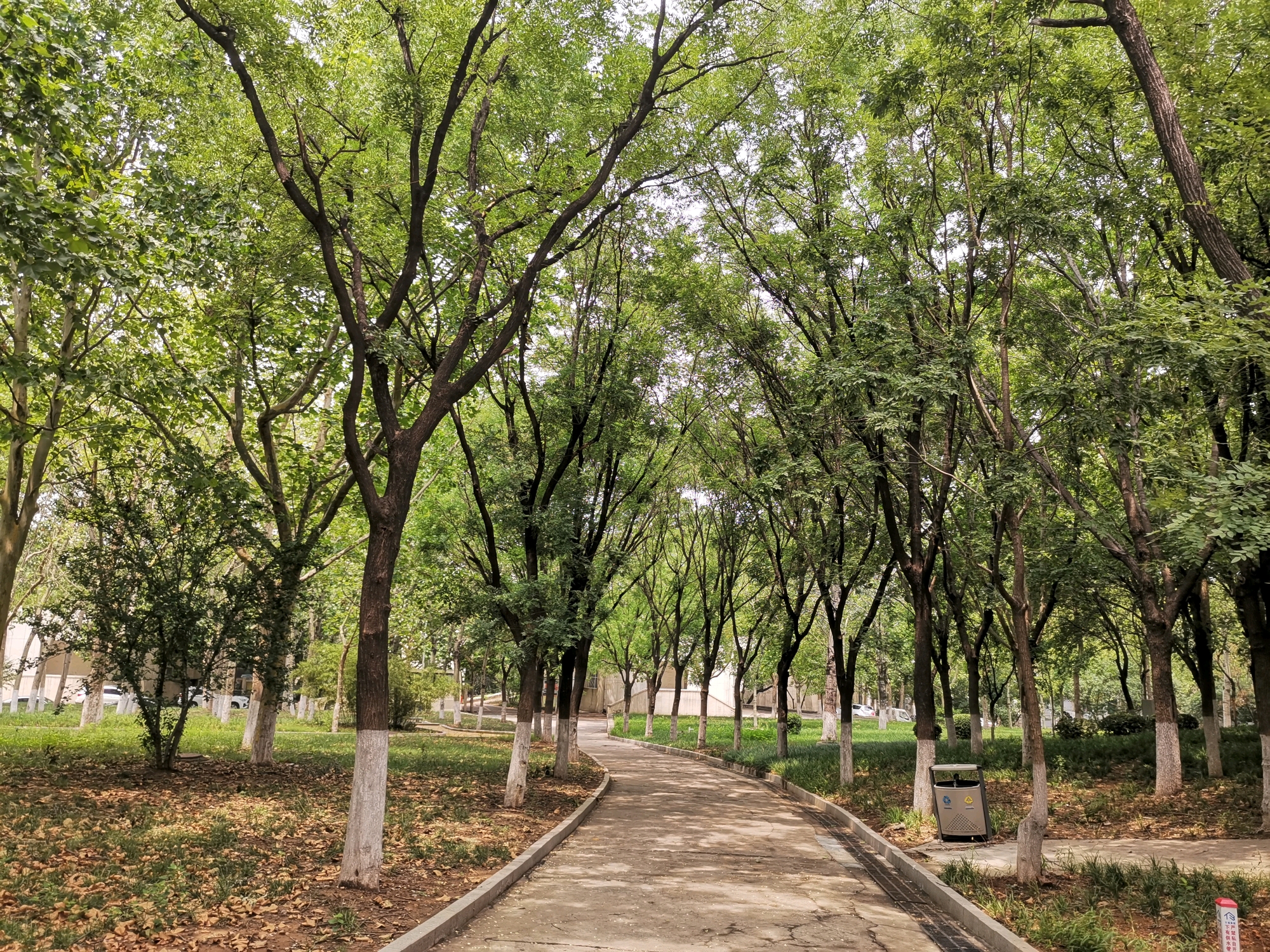 卖手抓饼赚钱吗_什么地方卖手抓饼赚钱_卖手抓饼能赚多少钱
