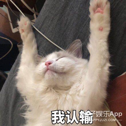 模拟人生做什么最赚钱_赚钱模拟器(魅力人生)_模拟赚钱的小游戏