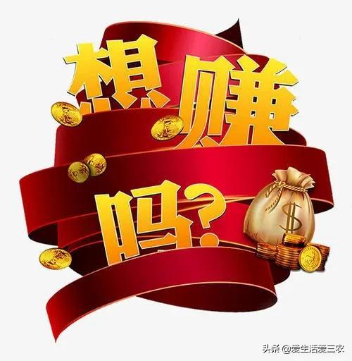 菜市场附近做什么赚钱-不想上班，投资几千块做这3个生意，做好了比打工强几倍！-优创圈