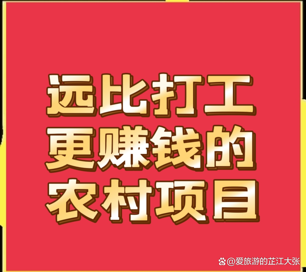 菜市附近做点什么小生意好呢_菜市场附近做什么赚钱_菜场附近暴利的生意