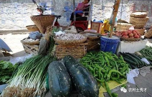 菜市附近做点什么小生意好呢_菜市场附近做什么赚钱_菜赚钱附近市场做什么生意