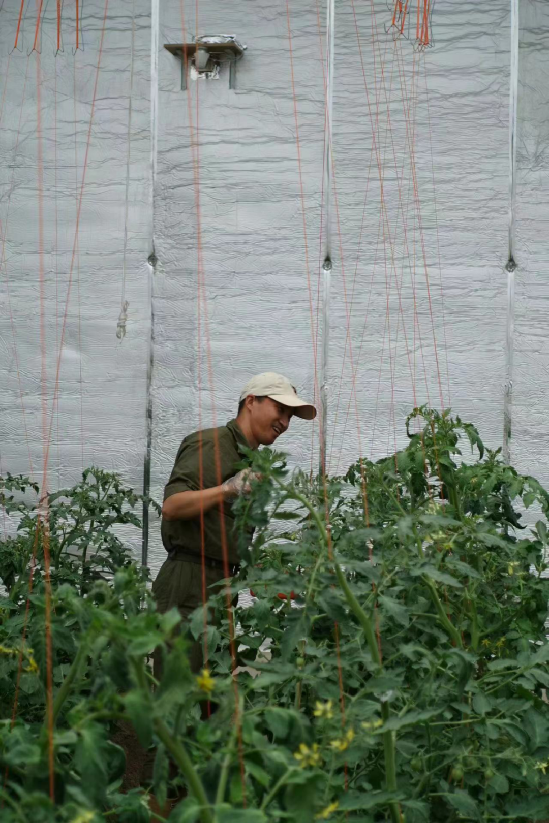 地里种植什么赚钱_种地能赚多少钱_田地里种植什么赚钱快