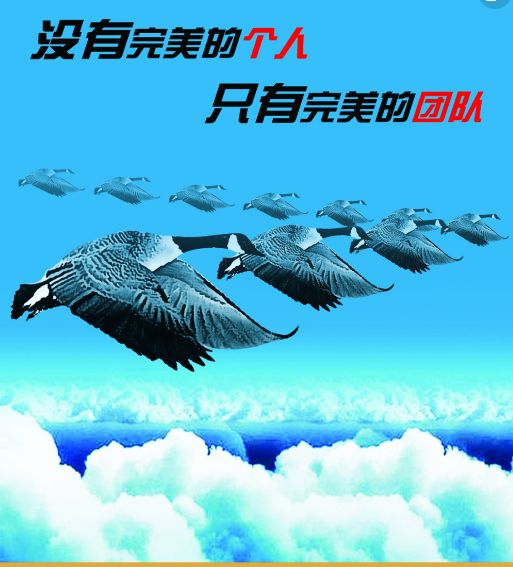 赚钱干投资用什么手机_挣钱投资_干什么不用投资赚钱快