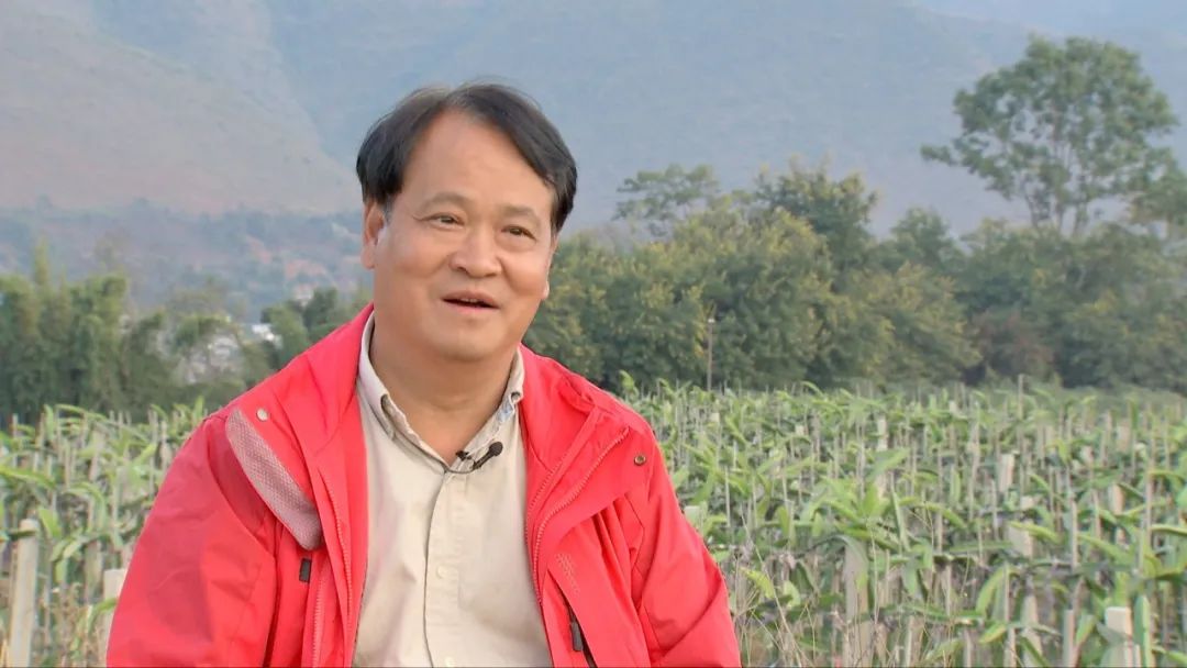 卖水果赚佣金的平台_四月份卖什么水果赚钱_卖水果能赚到钱吗