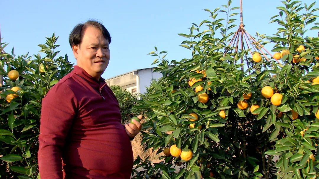 卖水果能赚到钱吗_四月份卖什么水果赚钱_卖水果赚佣金的平台