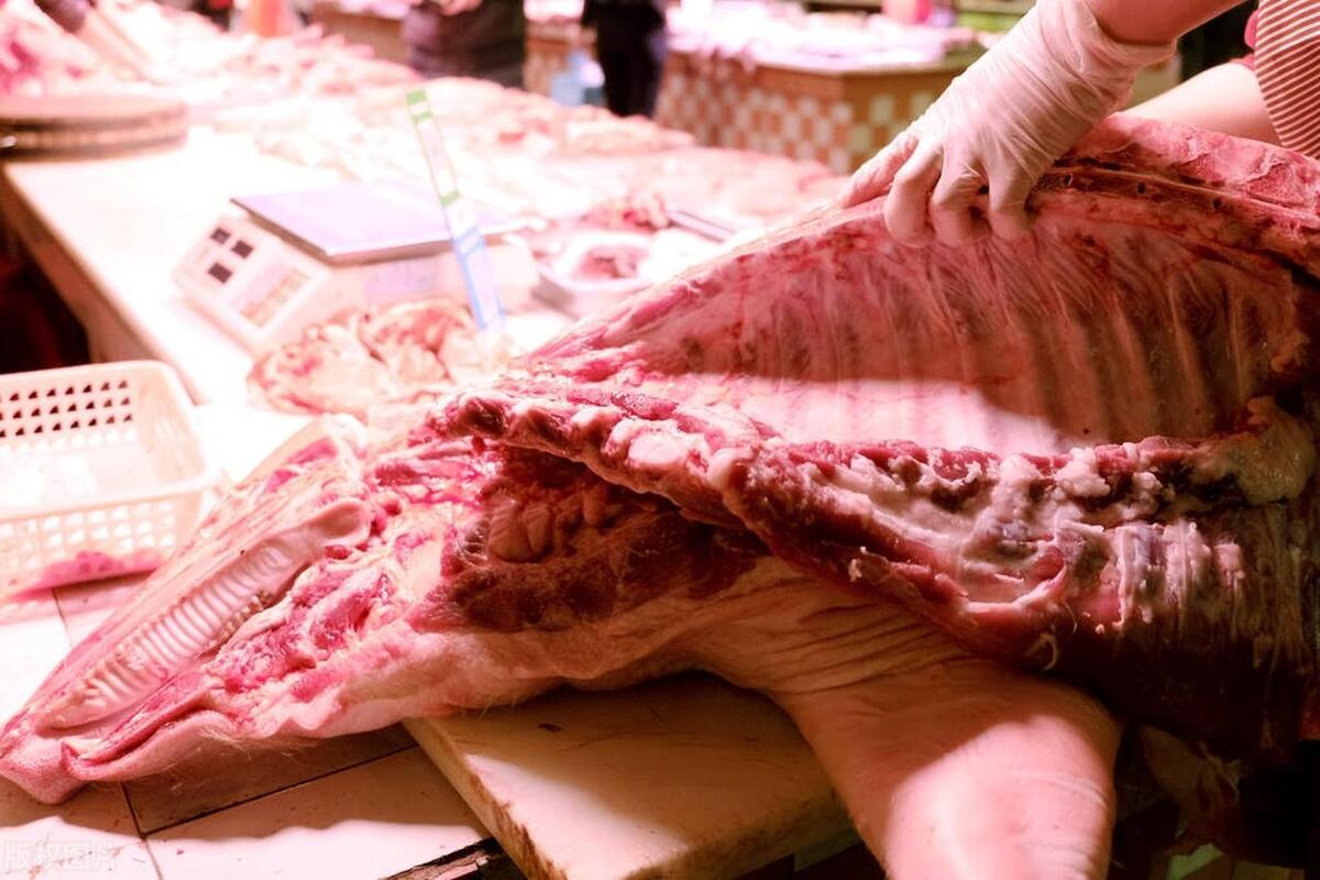 什么肉赚钱_什么肉赚钱_肉赚钱吗